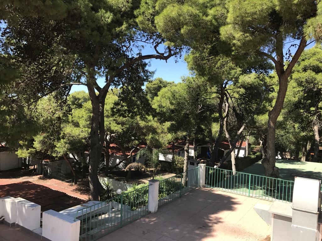 Hotel Eden Park 3*